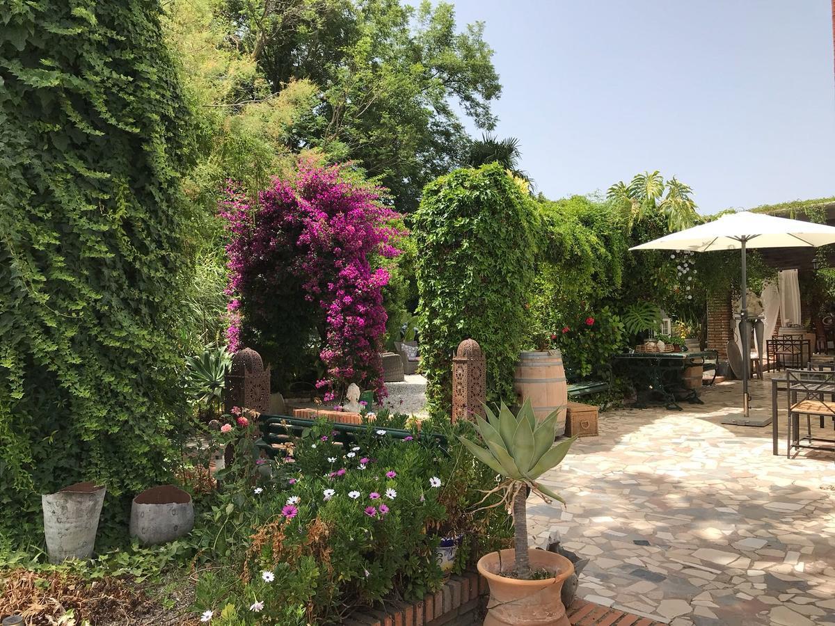 Cortijo Andaluz Bed & Breakfast Alhaurín el Grande Exterior foto